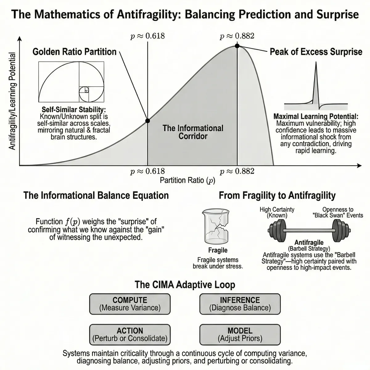 Золотое сечение в мозге: предсказание, удивление и антихрупкость