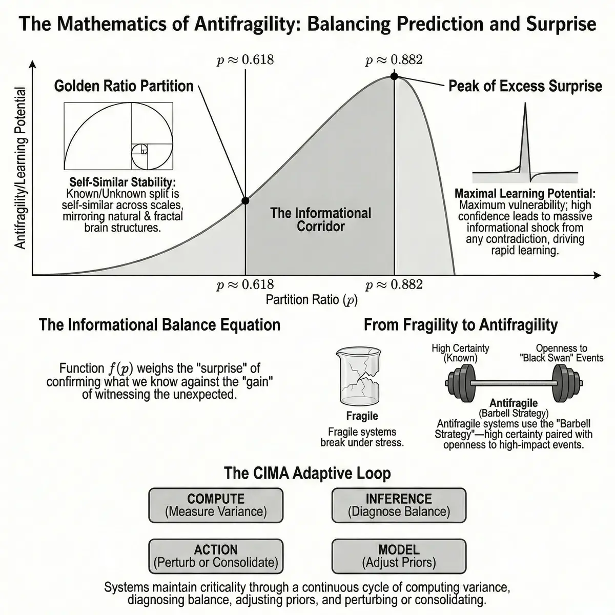Золотое сечение 1.618 найдено в работе мозга