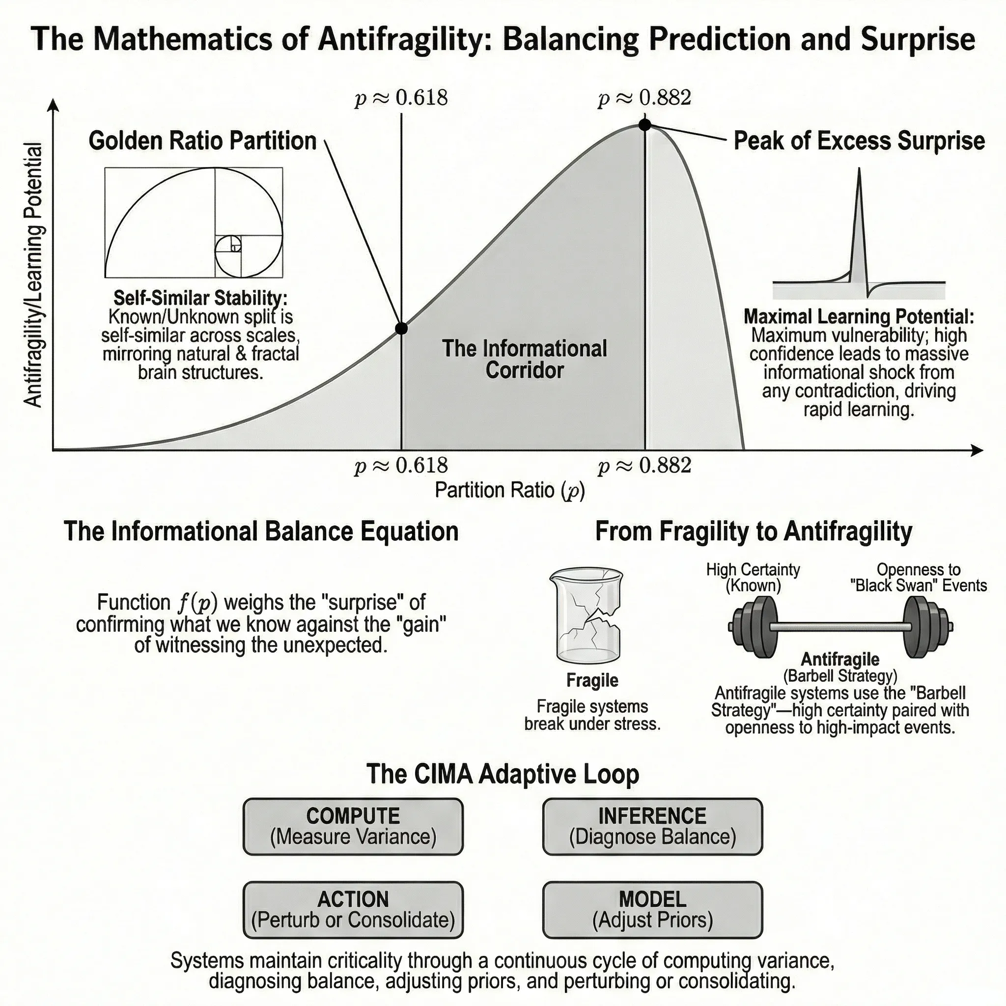 Золотое сечение в мозге: как баланс между предсказанием и удивлением делает нас антихрупкими
