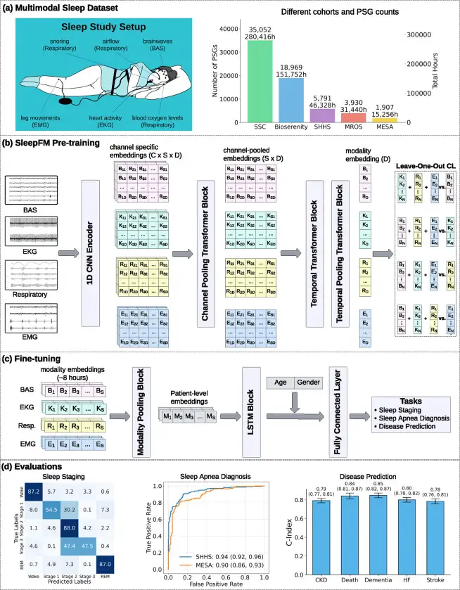 SleepFM: ИИ предсказывает 130 болезней по одной ночи сна