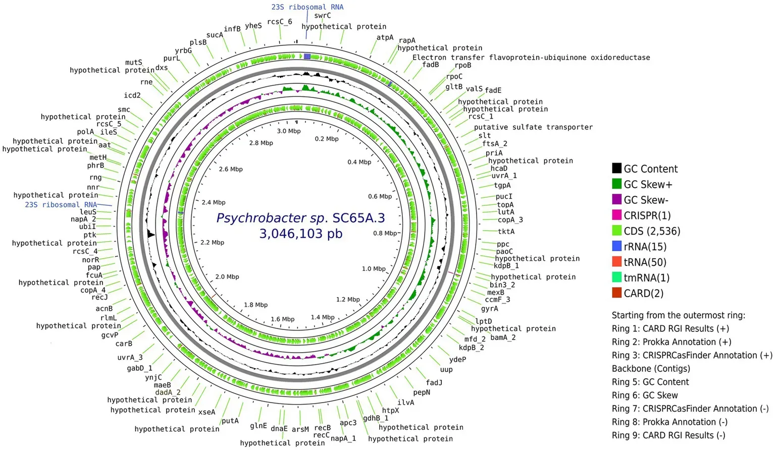 Бактерия из 5000-летнего льда устойчива к 10 антибиотикам — и может подсказать новые