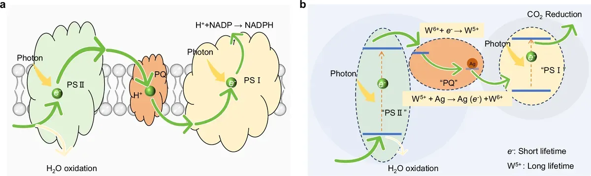 A Tungsten Charge Battery Turns CO₂ and Sunlight into Fuel