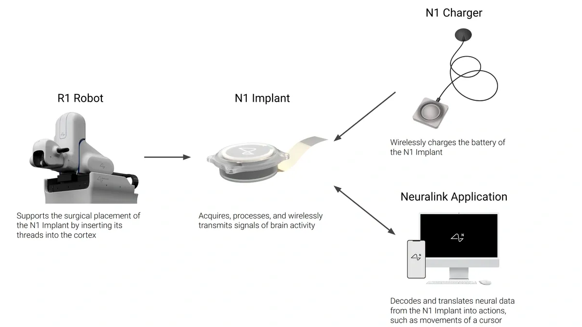 Diagram showing how the N1 Implant, N1 Charger, Neuralink Application, and R1 Robot interact in the system