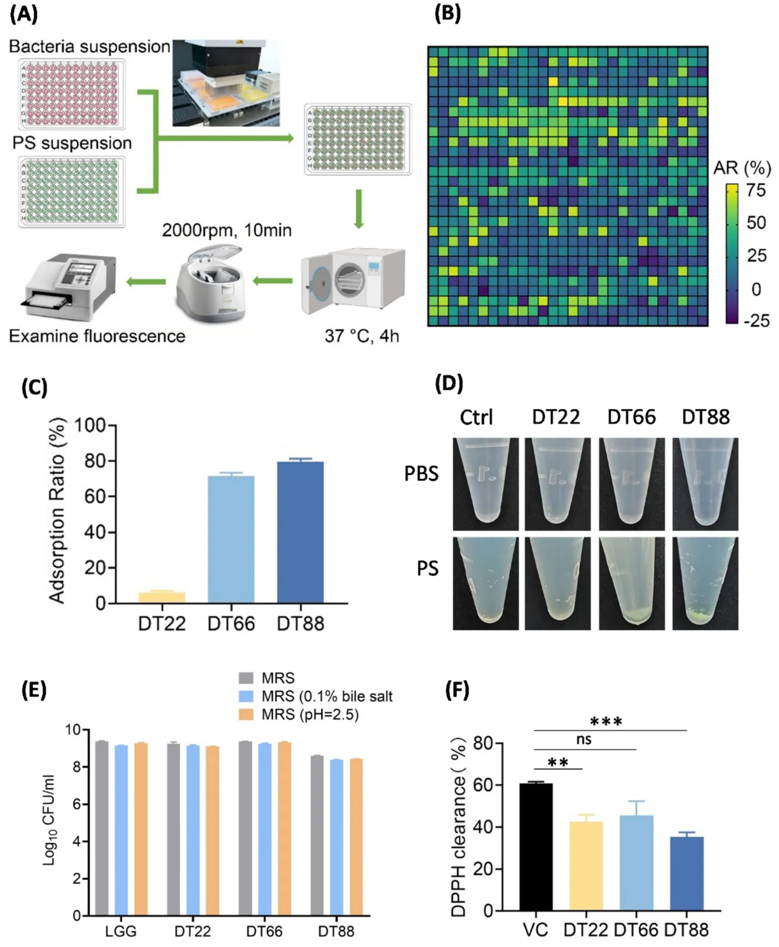 Screening 784 probiotic strains: adsorption ratio heatmap and bar charts for DT22, DT66, DT88