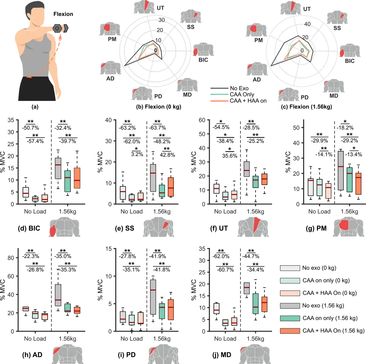 Результаты ЭМГ при сгибании руки