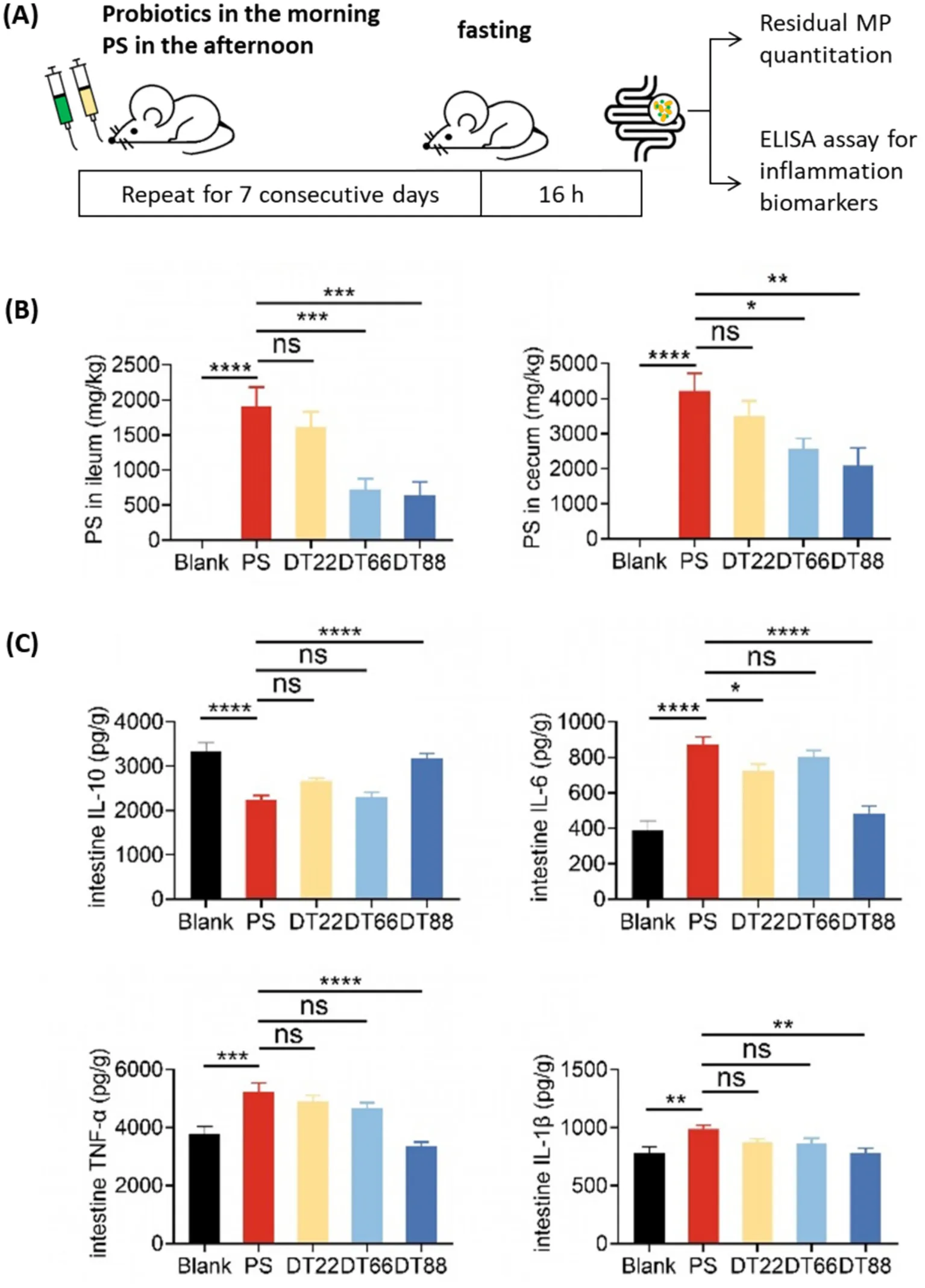 Residual polystyrene in ileum and cecum, and inflammatory cytokine levels after probiotic treatment